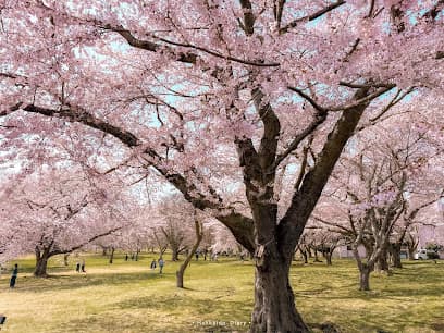 オニウシ公園