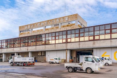 函館魚市場㈱