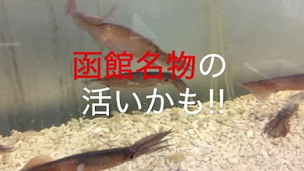 いか太郎 プレジデント 函館朝市店